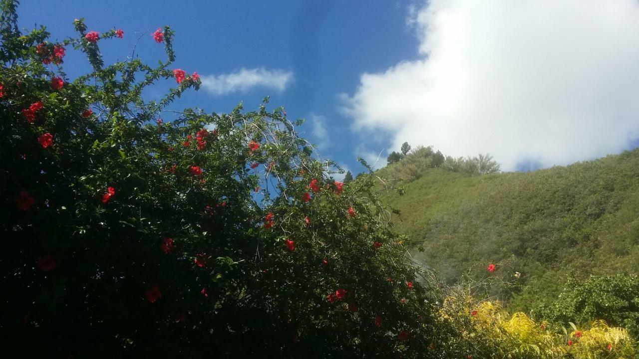 Location " La Pirogue " Maison D'Hotes A Moorea Haapiti ภายนอก รูปภาพ